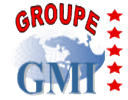 GMI Logo